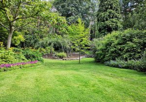 Optimiser l'expérience du jardin à Belfort-sur-Rebenty